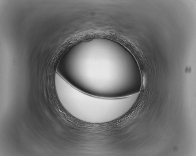 X0000095111492200712070907