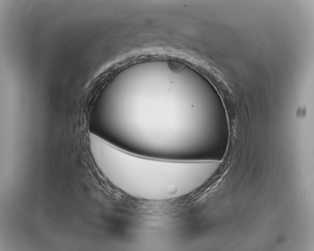 X0000095111494200712070907