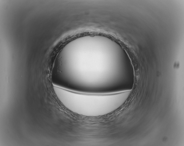 X0000095111495200712070907