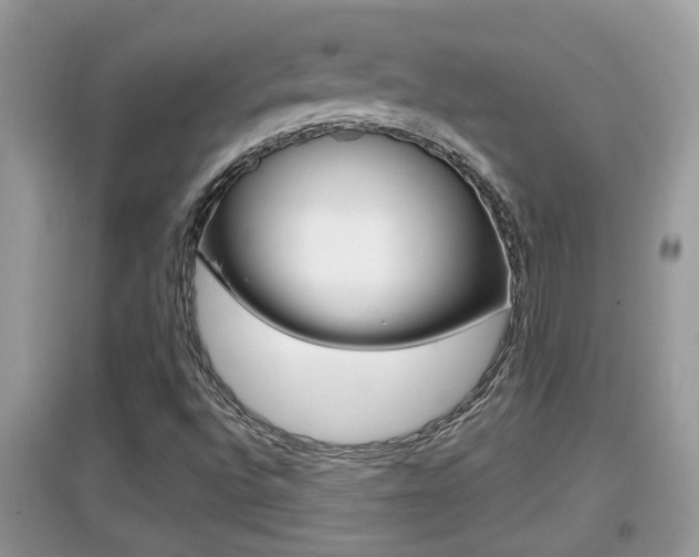 X0000095111496200712070907