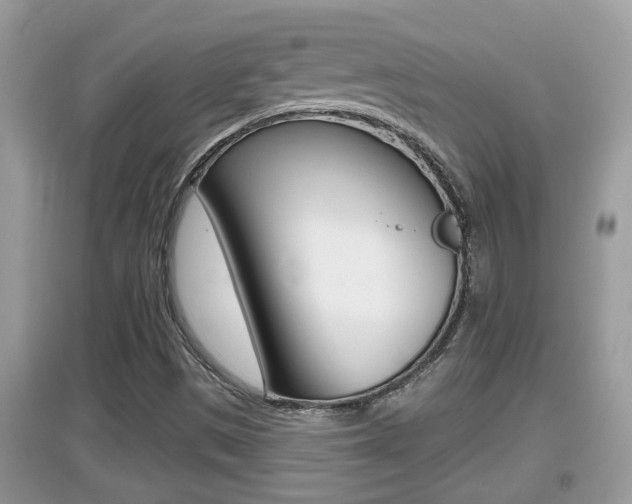 X0000095111497200712070907
