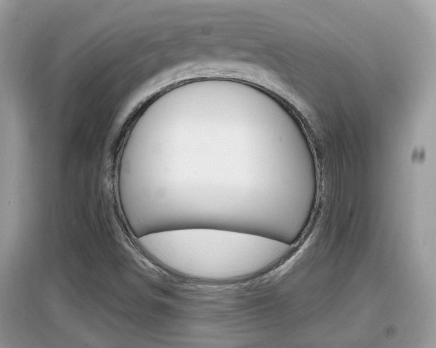 X0000095111498200712070907