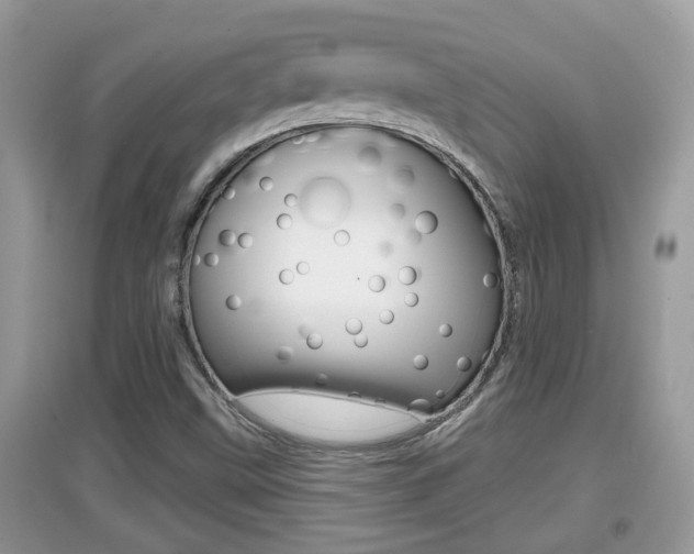 X0000095111499200712070907