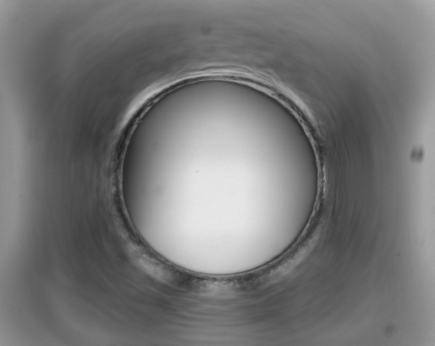 X0000095111501200712070907