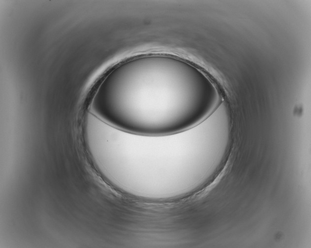 X0000095111502200712070907