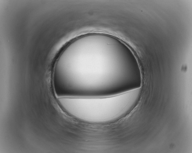 X0000095111503200712070907