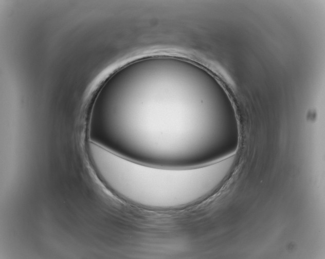 X0000095111504200712070907