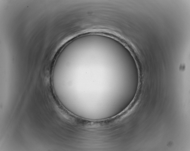 X0000095111505200712070907