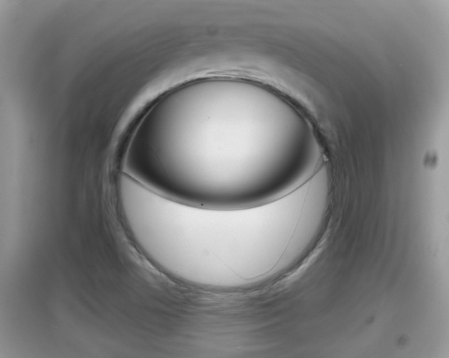 X0000095111506200712070907