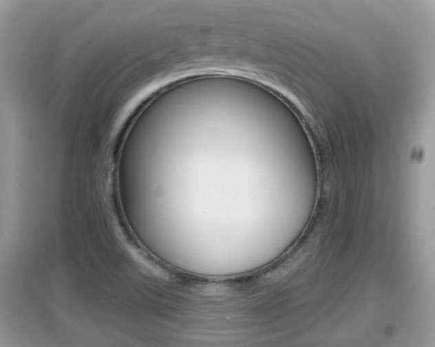 X0000095111507200712070907