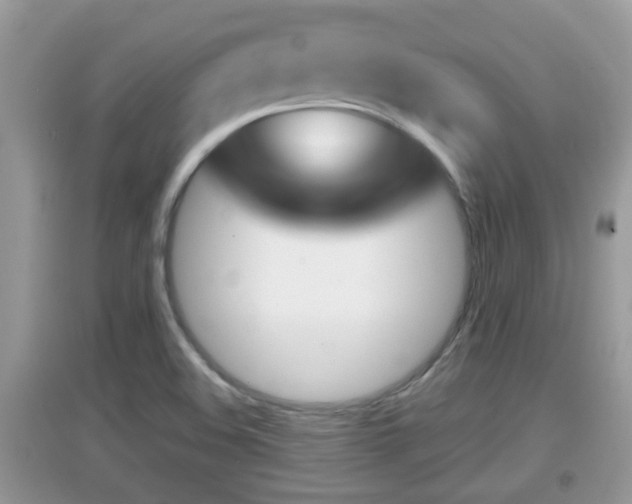 X0000095111508200712070907