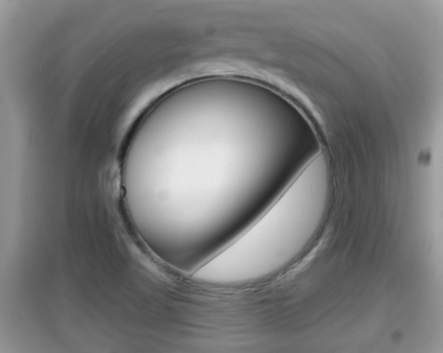 X0000095111509200712070907