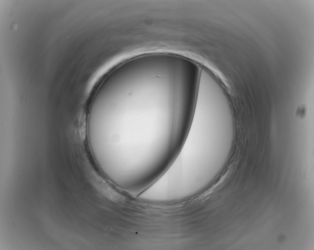 X0000095111510200712070907