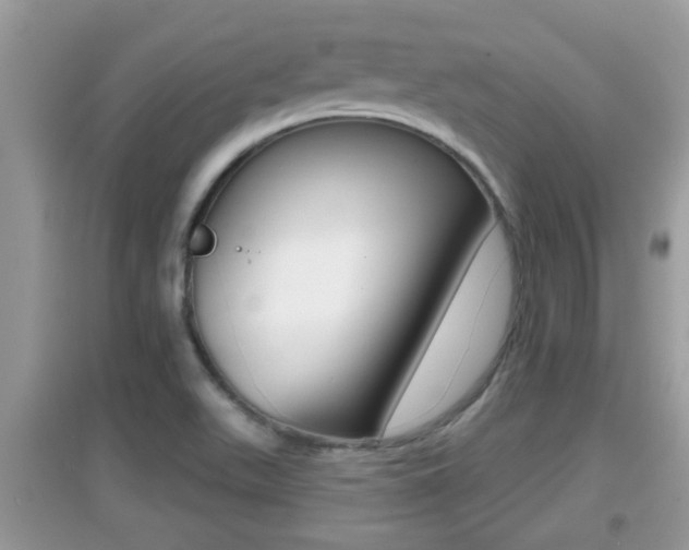X0000095111511200712070907