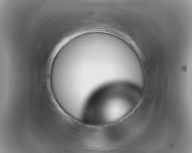 X0000095111512200712070907