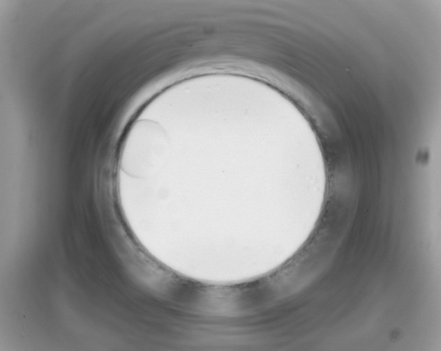 X0000095111514200712070907