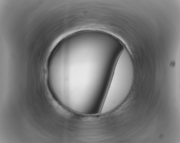X0000095111515200712070907