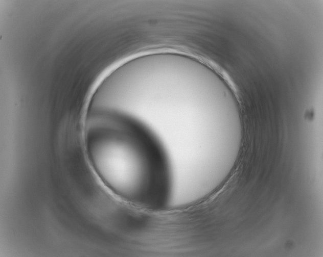 X0000095111516200712070907