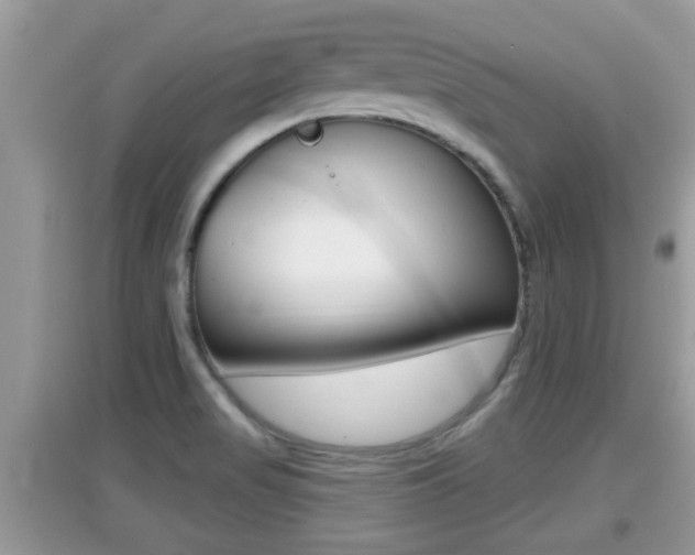 X0000095111517200712070907