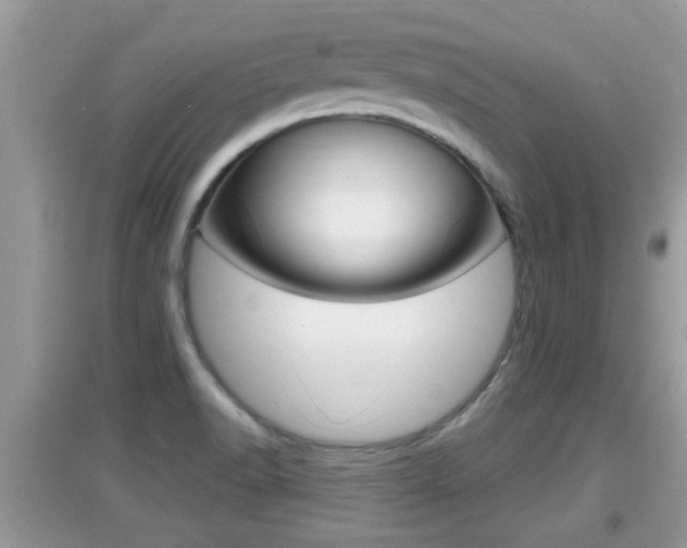 X0000095111518200712070907
