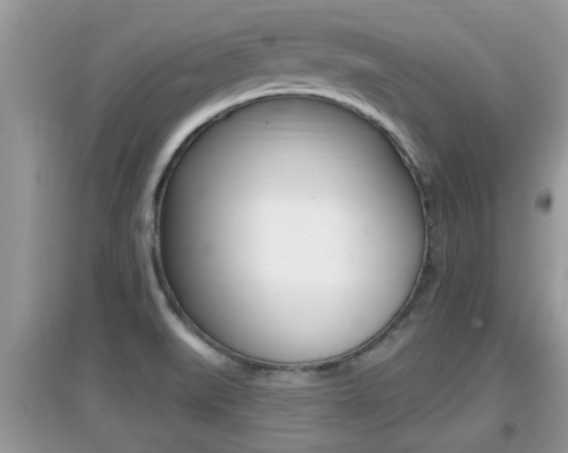 X0000095111519200712070907