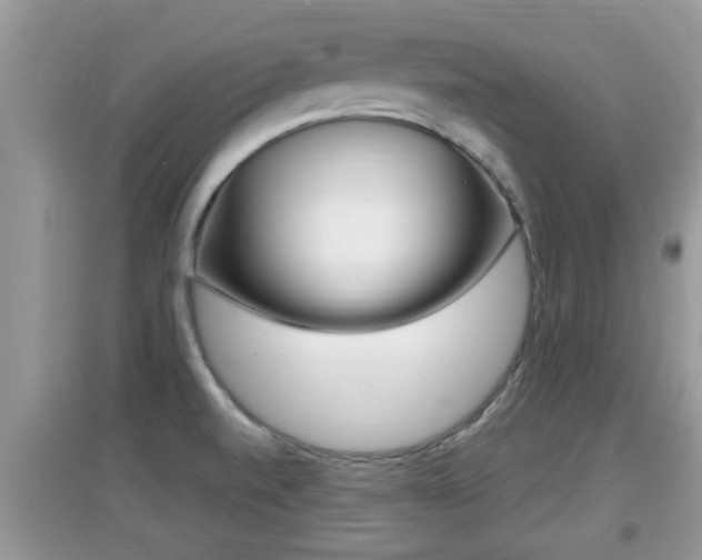 X0000095111520200712070907