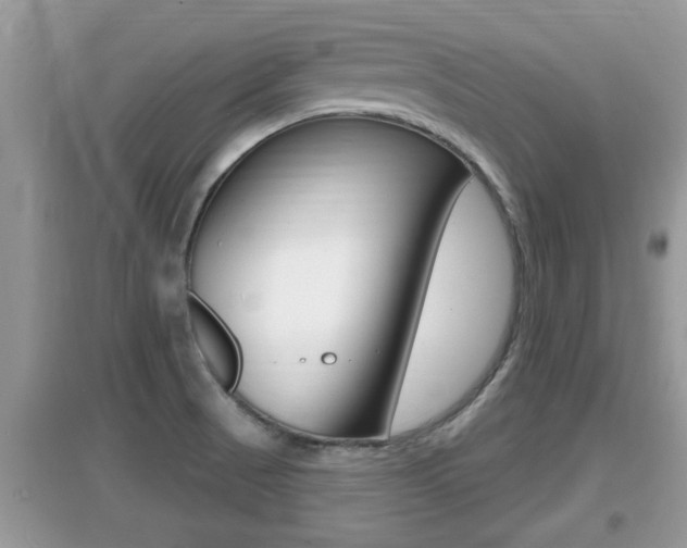 X0000095111521200712070907