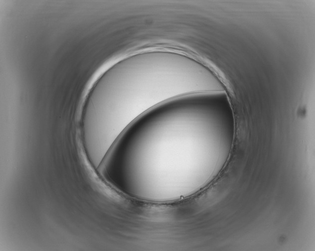 X0000095111522200712070907