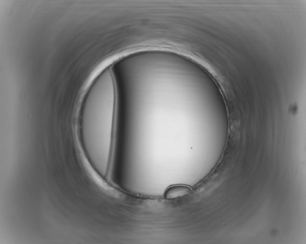 X0000095111523200712070907