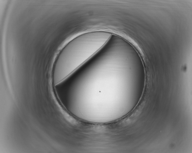 X0000095111525200712070907