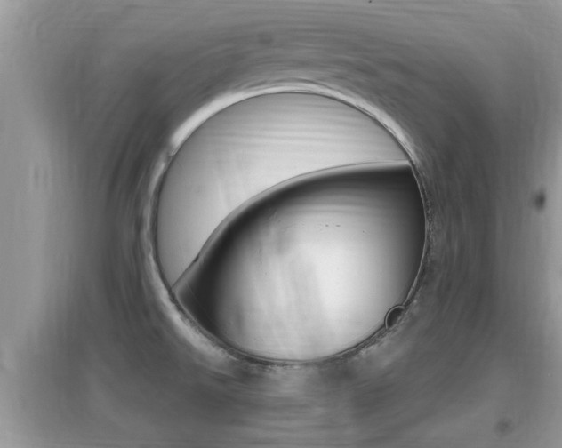 X0000095111526200712070907