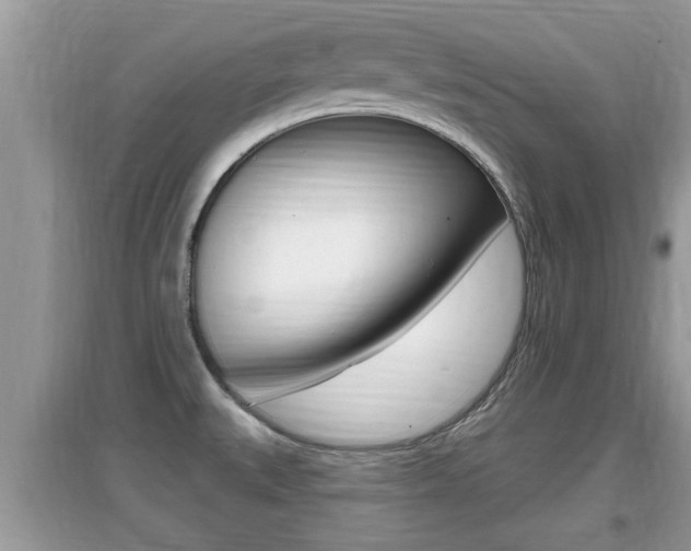 X0000095111527200712070907