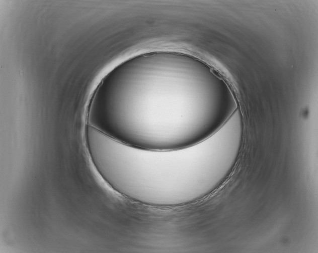 X0000095111528200712070907