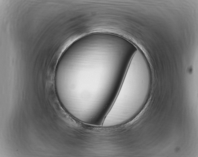 X0000095111529200712070907