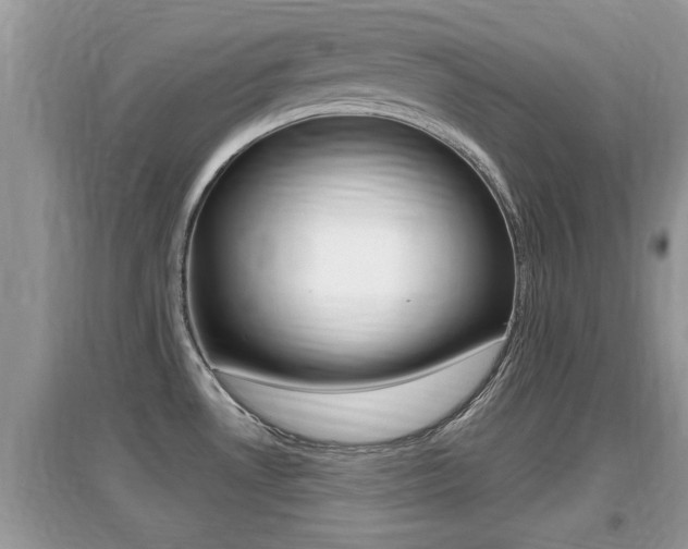 X0000095111530200712070907