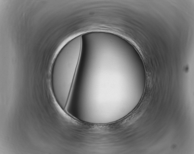 X0000095111531200712070907