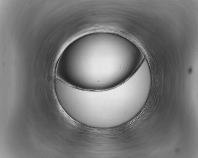 X0000095111532200712070907