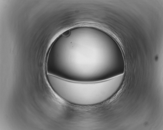 X0000095111533200712070907