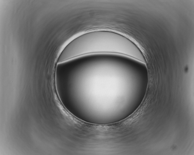 X0000095111534200712070907