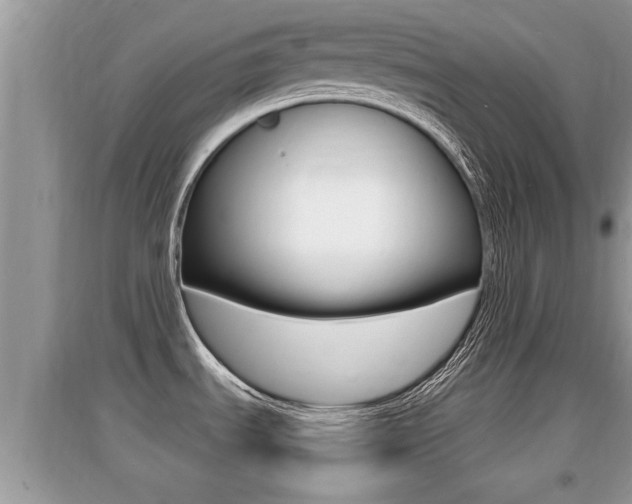 X0000095111535200712070907
