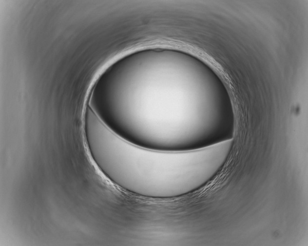 X0000095111536200712070907