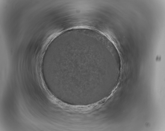 X0000095110001200712071228