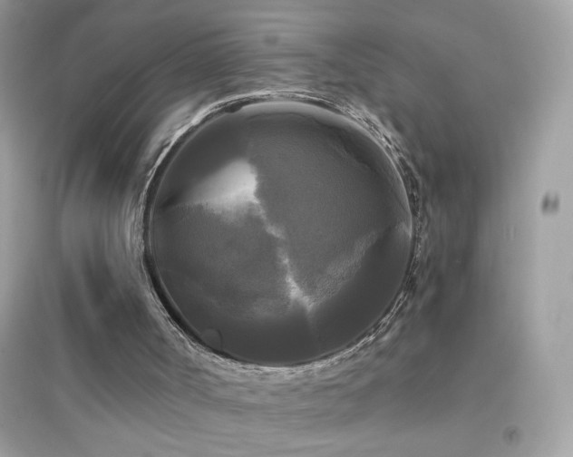 X0000095110002200712071228