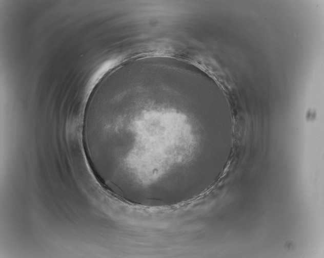 X0000095110003200712071228