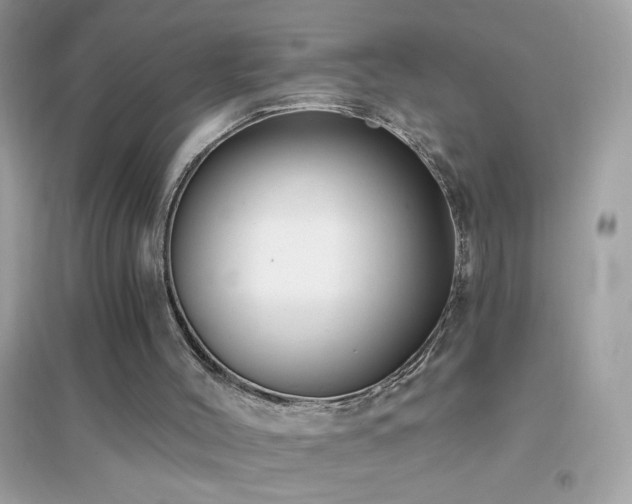 X0000095110004200712071228