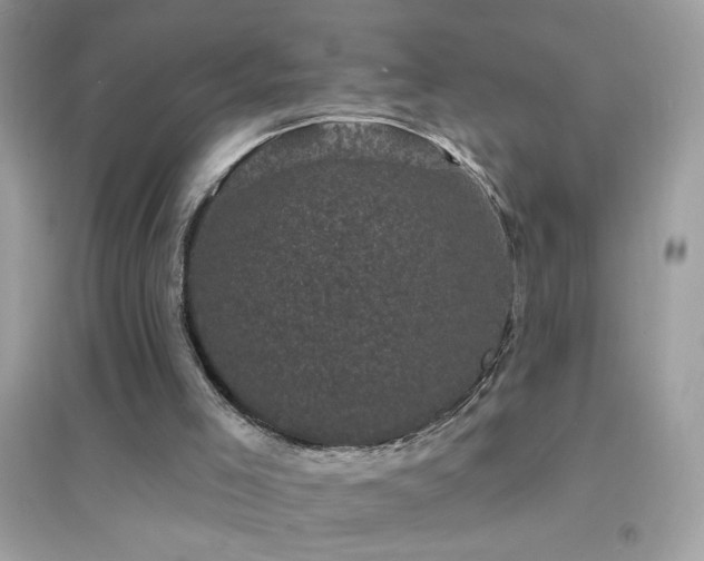 X0000095110005200712071228