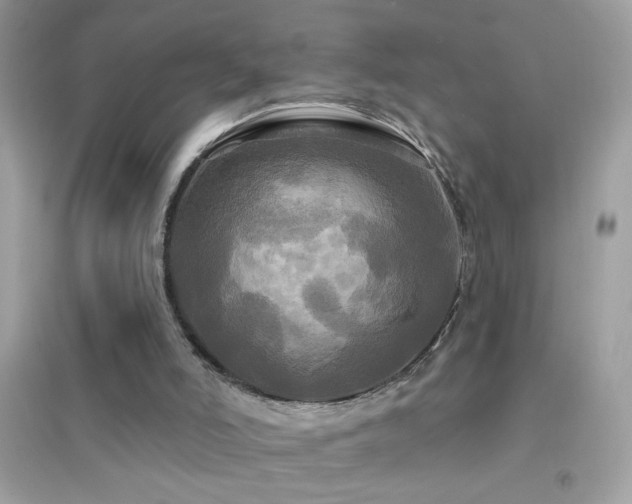 X0000095110006200712071228