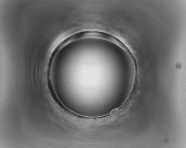 X0000095110007200712071228