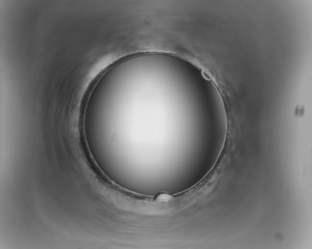 X0000095110008200712071228