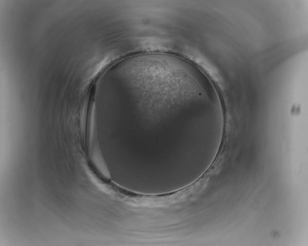 X0000095110009200712071228